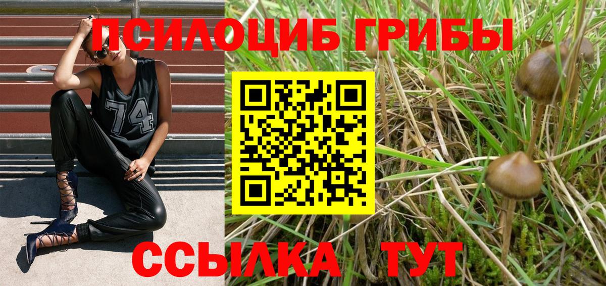 Галлюциногенные грибы Psilocybe  Вход с VPN  Урай  Галлюциногенные грибы MAGIC MUSHROOMS 
